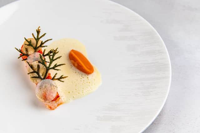 The lobster dish