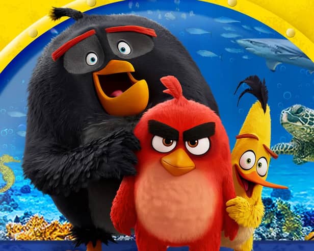 Angry Birds make a splash at SEA LIFE Blackpool this July  
