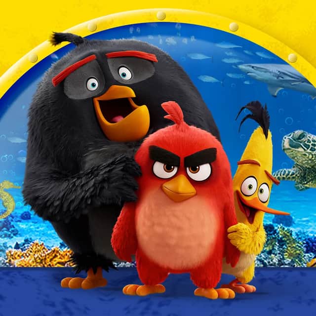 Angry Birds make a splash at SEA LIFE Blackpool this July