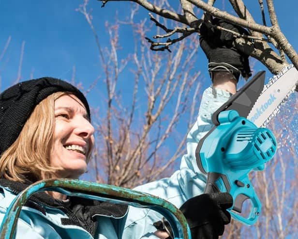 A mini chainsaw is an ideal tool for pruning season