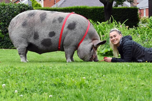 Jane enjoing a walk in the park with her five-year-old pet pig Wilbur.