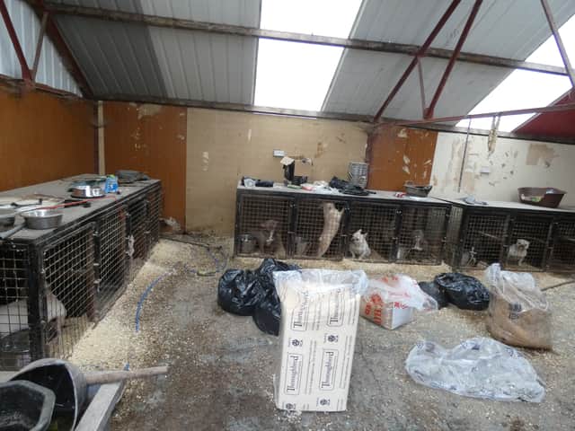 A mother and her two sons have been banned from keeping animals for a total of 40 years after forcing 22 dogs to live in cramped, dirty and freezing cages at their Fylde coast home.