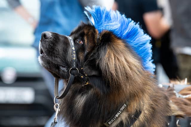 Punks in Blackpool for the Rebellion Punk Festival at the Winter Gardens. Photo: Kelvin Lister-Stuttard