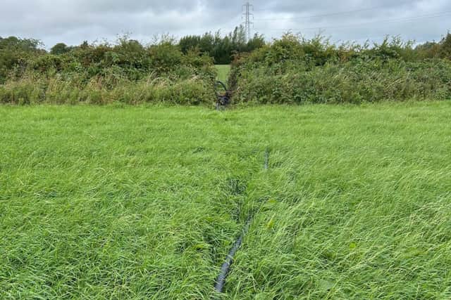 The criminals had to cut through dense, spiky hedges to reach the tank