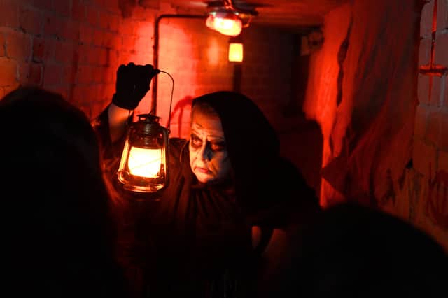 The new 2025 scare zone, called ‘Abyss’, invites thrillseekers to walk through the park’s historic River Caves attraction in near-total darkness