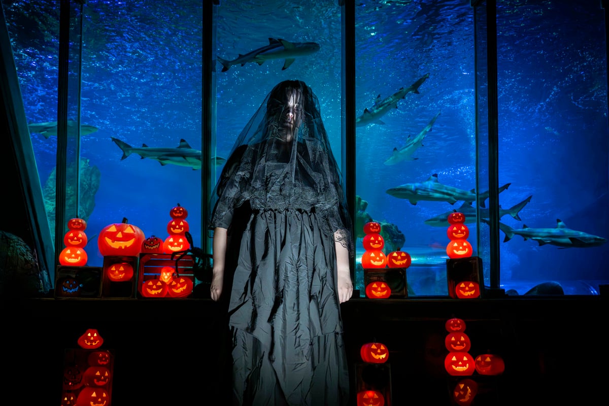 I explored SEA LIFE Blackpool’s haunted aquarium – a Halloween experience with a deep-sea twist