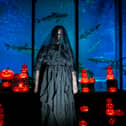 SEA LIFE Blackpool turns spooky this Halloween with Ascarium: After Dark