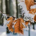 Lancashire is set for a cold start to the New Year, with widespread frost and very low temperatures forecast