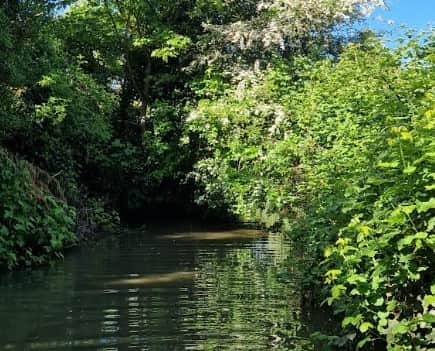 Further vital work has been carried out at Liggard Brook  just outside Lytham