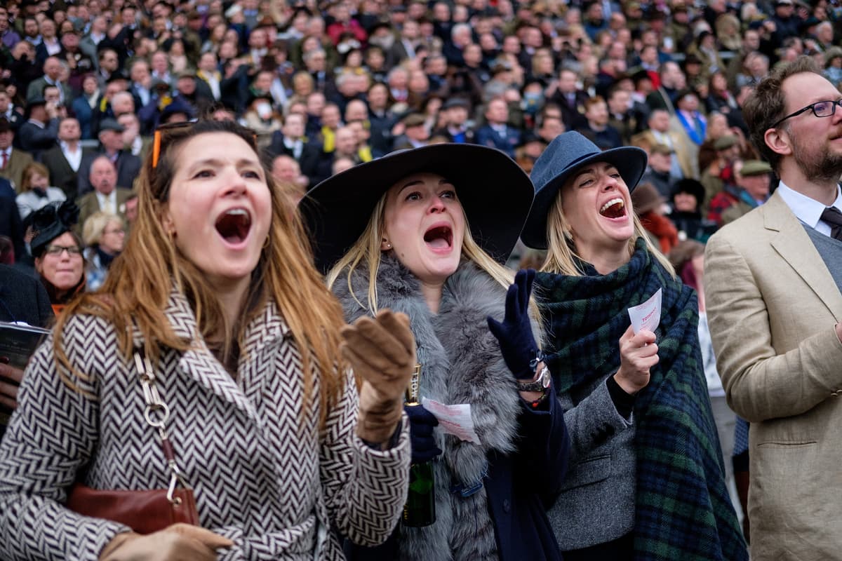 Horse racing fans will be flocking to Benidorm to watch the Cheltenham ...