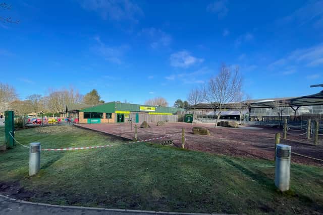 The new Safari Events Tent is proposed for this area of land in the centre of the zoo.