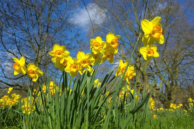 Blackpool is set for a cooler and more changeable end to the Easter half-term weekend