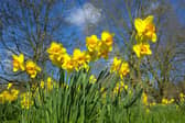 Blackpool is set for a cooler and more changeable end to the Easter half-term weekend 