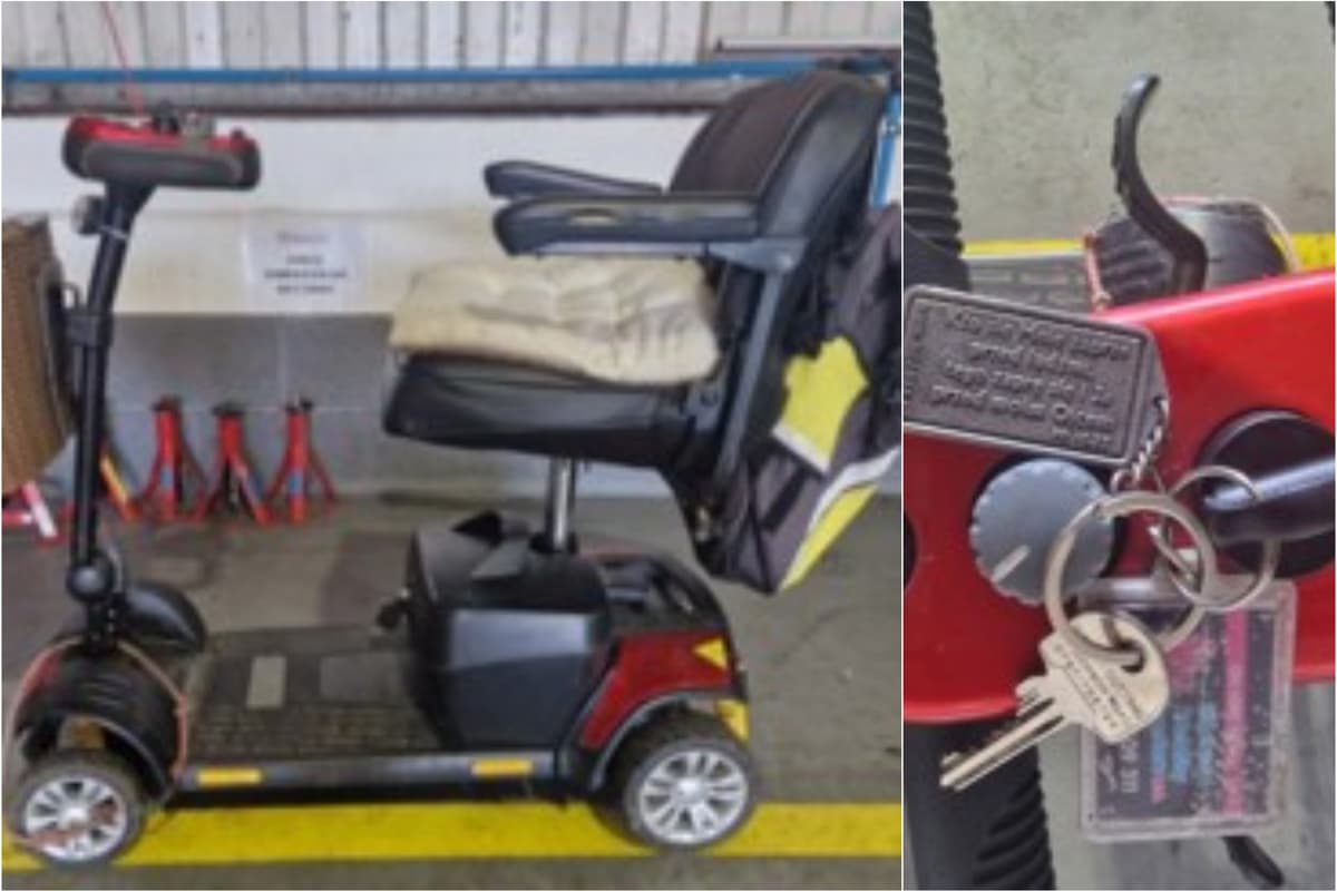Appeal to identify mobility scooter rider seriously injured on Crossley's ...