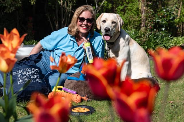 Lisa Allison, a volunteer puppy raiser, with trainee Guide Dog - 9 month old Topper. Lisa, from Broughton, Lancs wants to encourage more volunteer puppy raisers in Blackpool and Preston.