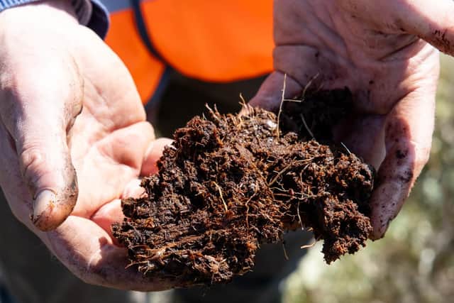 Soil samples have been tested