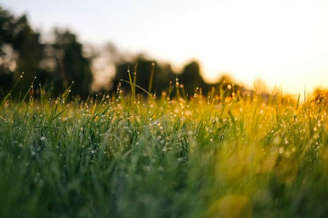 Blackpool weather forecast this week as showers give way to sunshine ...