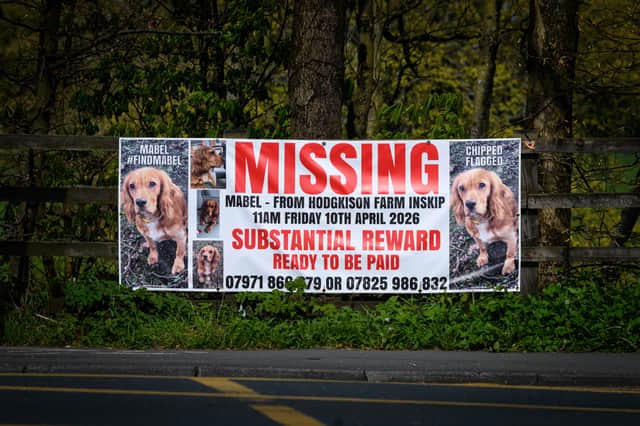 A missing dog poster for Mabel has been put up on the roundabout which links the M55 and M6 in Preston. Photo: Kelvin Lister-Stuttard