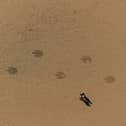Visitors to Blackpool beach yesterday spotted giant dinosaur footprints emerging from the sea across the beach to the Promenade