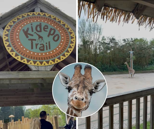 Blackpool Zoo has officially opened its new £500,000 Kidepo Trail development at Giraffe Heights as part of its ongoing investment in immersive and conservation-led habitats.
