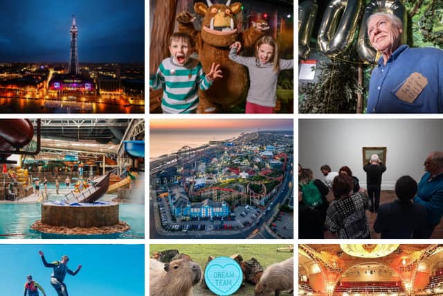 14 must-see Blackpool attractions for families to visit this summer as ticket prices slashed by VAT cut