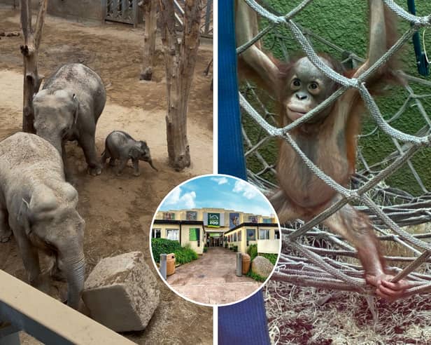 'My heart was stolen' - I spent the day at Blackpool Zoo meeting their new arrivals