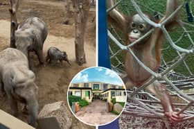 'My heart was stolen' - I spent the day at Blackpool Zoo meeting their new arrivals