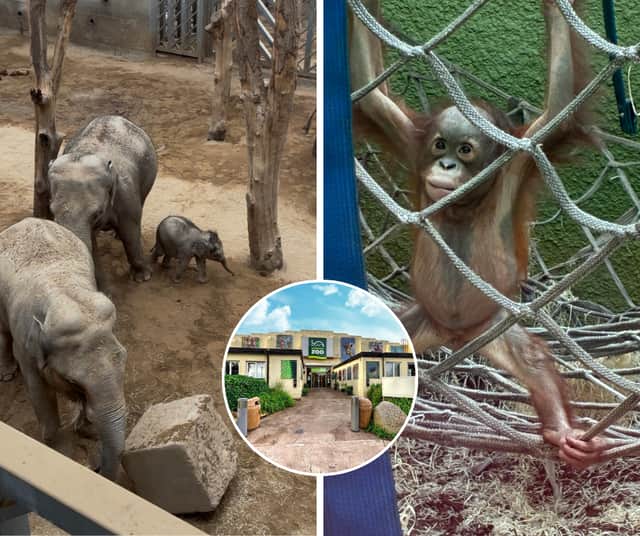 'My heart was stolen' - I spent the day at Blackpool Zoo meeting their new arrivals