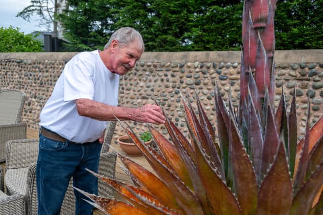 John Hall, 78 and his wife Maureen 74, have transformed their garden in Lytham into a sub-tropical paradise.