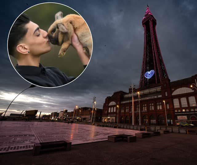 Blackpool Tower was lit up blue in tribute to animal-lover Bailey Lister