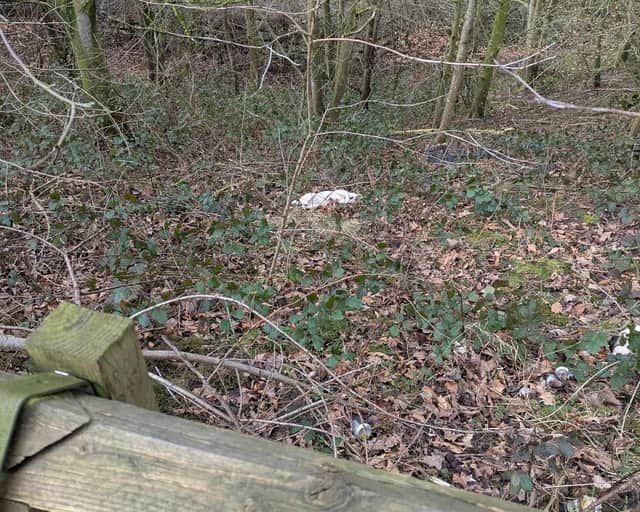 An animal cruelty invetigation which saw the bodies of five dead dogs dumped on a country lane close to the M55 is being highlighted by the RSPCA as new figures show 166 reports of summer cruelty in Lancashire