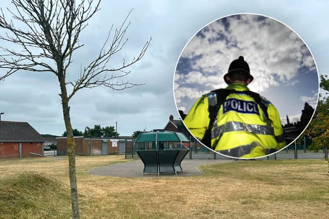 Man, 70s, dies in park after being found by members of public who administered CPR