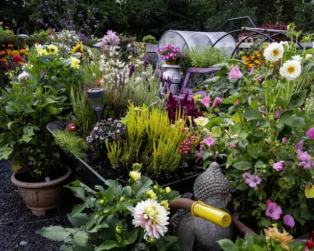 Plenty of colour, perfumes and variety of plants in the Llanwrtyd Wells Britain in Bloom entry