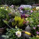 Plenty of colour, perfumes and variety of plants in the Llanwrtyd Wells Britain in Bloom entry
