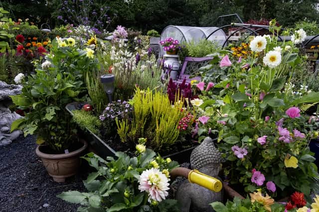 Three Fylde coast villages took home gold awards at the RHS Britain in Boom Awards.