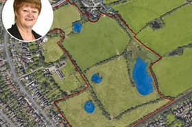 Cllr Schofield and the development