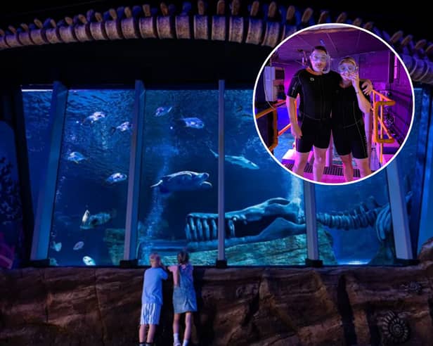 Blackpool Gazette editor Vanessa Sims and her husband Pete snorkelled with sharks in Blackpool SEA LIFE's new Jurassic Ocean Tank