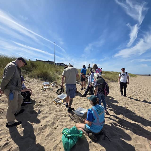 Marine champions explore sand dune wildlife at Fleetwood beach amid 80% habitat loss