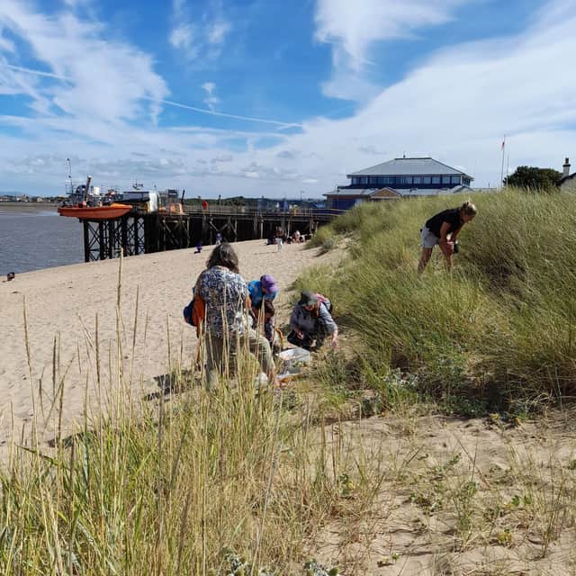 Marine champions explore sand dune wildlife at Fleetwood beach amid 80% habitat loss