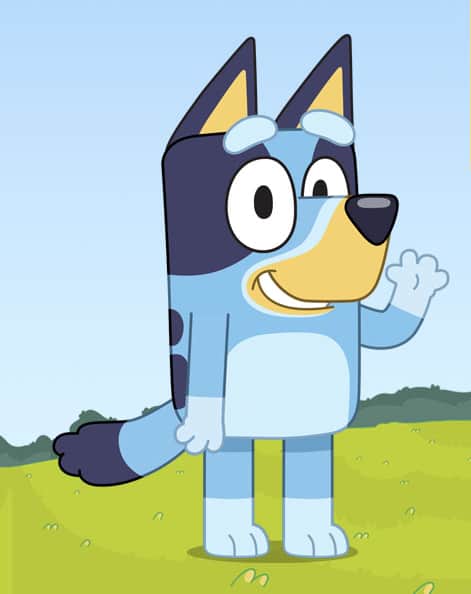 Children's favourite TV star Bluey is coming to Blackpool Zoo this September
