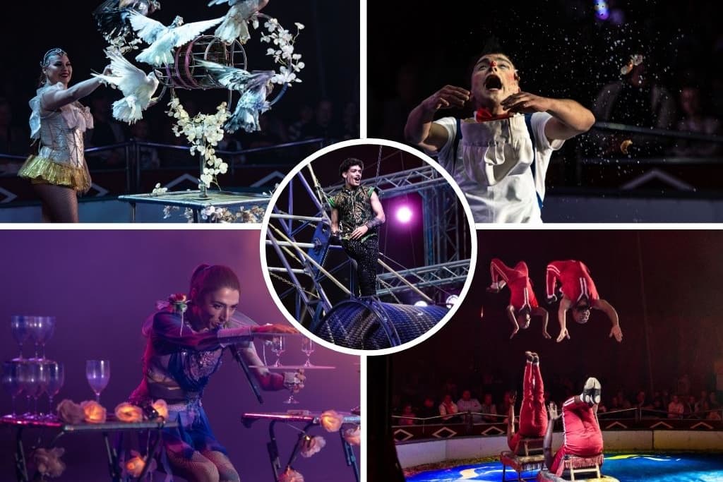 'Roll up, roll up!' - 27 fabulous pictures inside the Circus Mondao Big ...