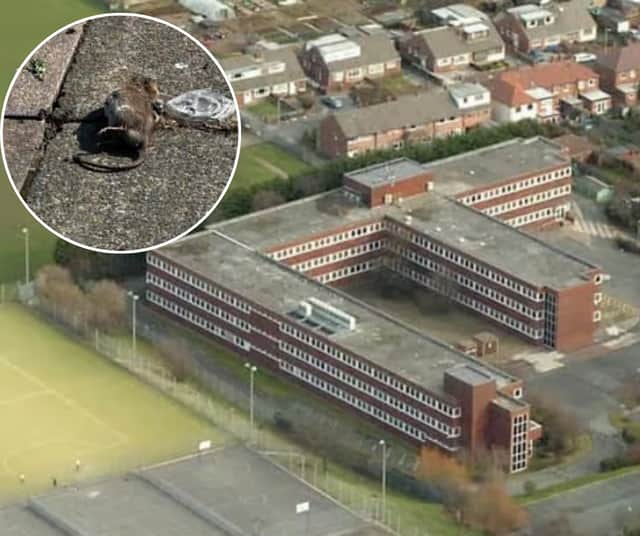 Concerned residents says rats from ex-Blackpool DWP office Mexford House are plaguing their homes