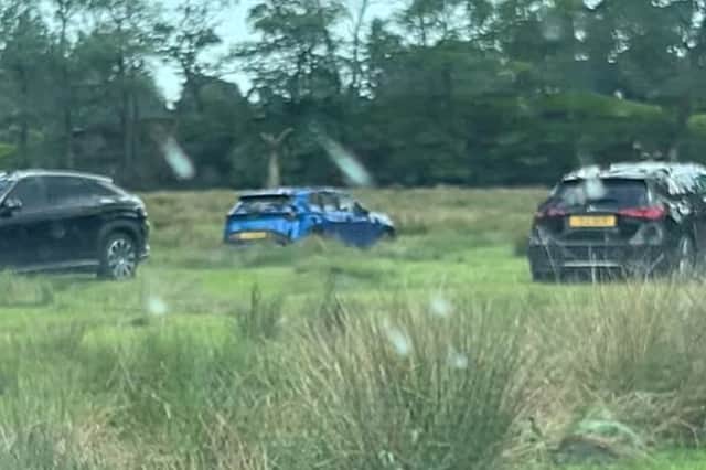 Cars sprayed with slurry after being illegally parked on private land near Rydal Water in the Lake District, Cumbria.