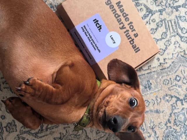 I’m a pet owner and my dog Ellie loves the sofa, so this is one thing I don’t want in my home 