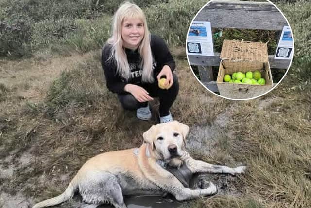 Courtney Turner with her beloved Dexter - and the box of tennis balls she has placed for other dogs to enjoy