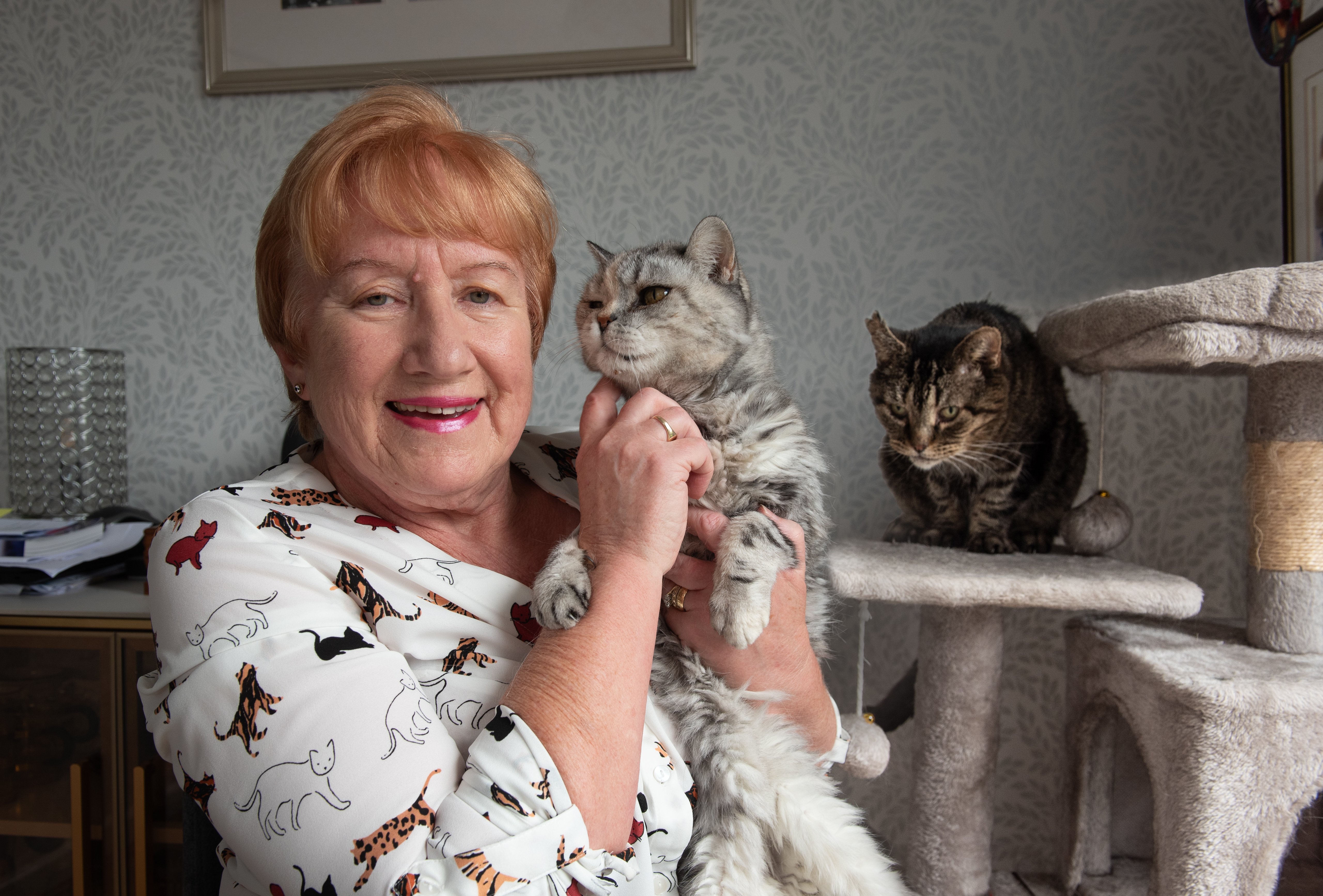 There's an unchipped cat crisis in Blackpool, says charity member