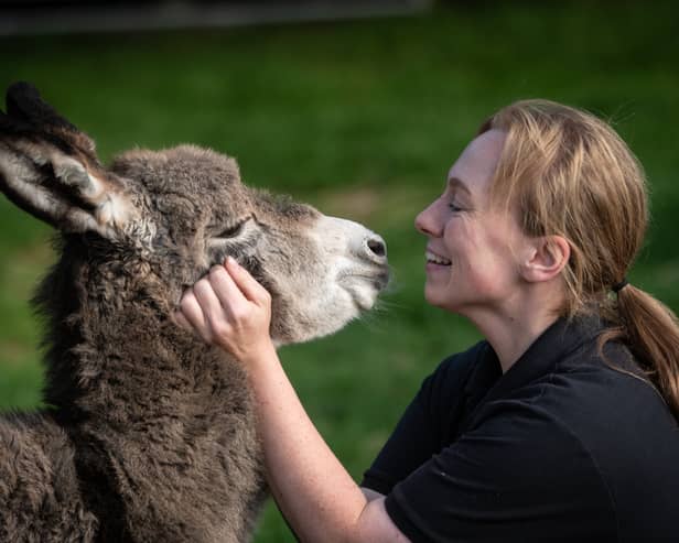 A new foal has been born at Farmer Parrs and they are asking the public to name him.