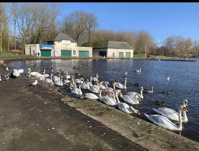 Brambles Wildlife Rescue has raised concerns over the protection of animals at the park.