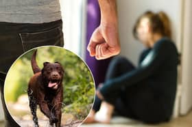 Blackpool North and Fleetwood MP Lorraine Beavers has backed Ruby’s Law, a campaign calling for stronger legal protections for victims of domestic abuse and their pets.