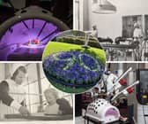 Blackpool Victoria Hospital is celebrating 90 years since it treated its first official patient, with the recent unveiling of a new state-of-the-art surgical robot aptly demonstrating the mind-blowing medical advancements seen at the Vic over the decades.